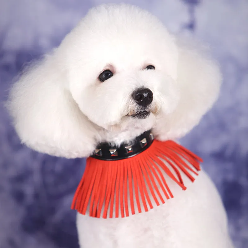 Stylish Orange Tassel Collar For Pet - A018