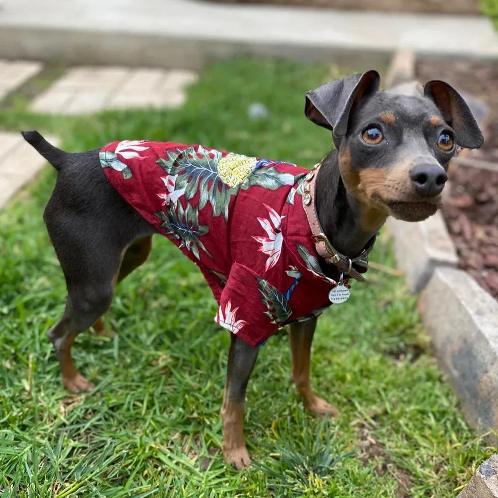 Summer Dog Clothes | Cool Beach Hawaiian Style Dog and Cat Shirt | Short Sleeve Coconut Tree Print | 2024 New Fashion Gift for Pets