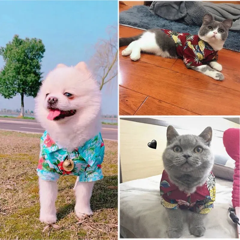 Summer Dog Clothes | Cool Beach Hawaiian Style Dog and Cat Shirt | Short Sleeve Coconut Tree Print | 2024 New Fashion Gift for Pets