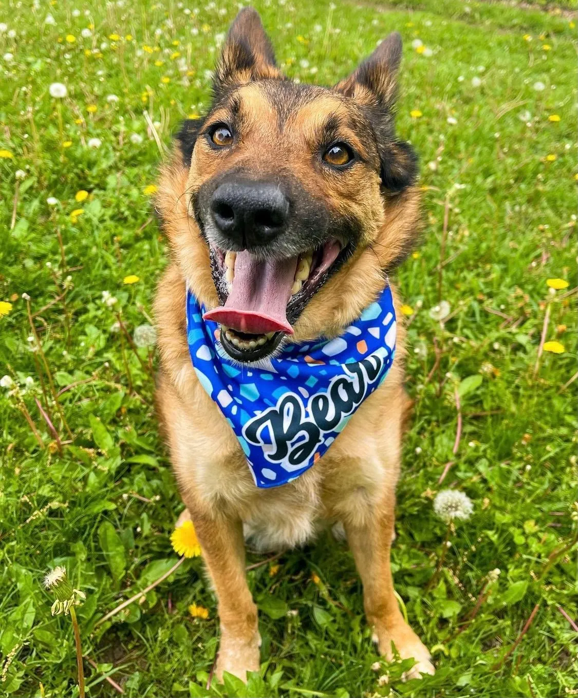 Terrazzo Cooling Bandana