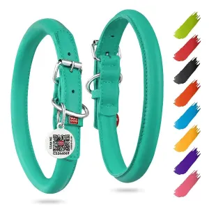 WAUDOG Rolled Leather Dog Collar - Mint XS