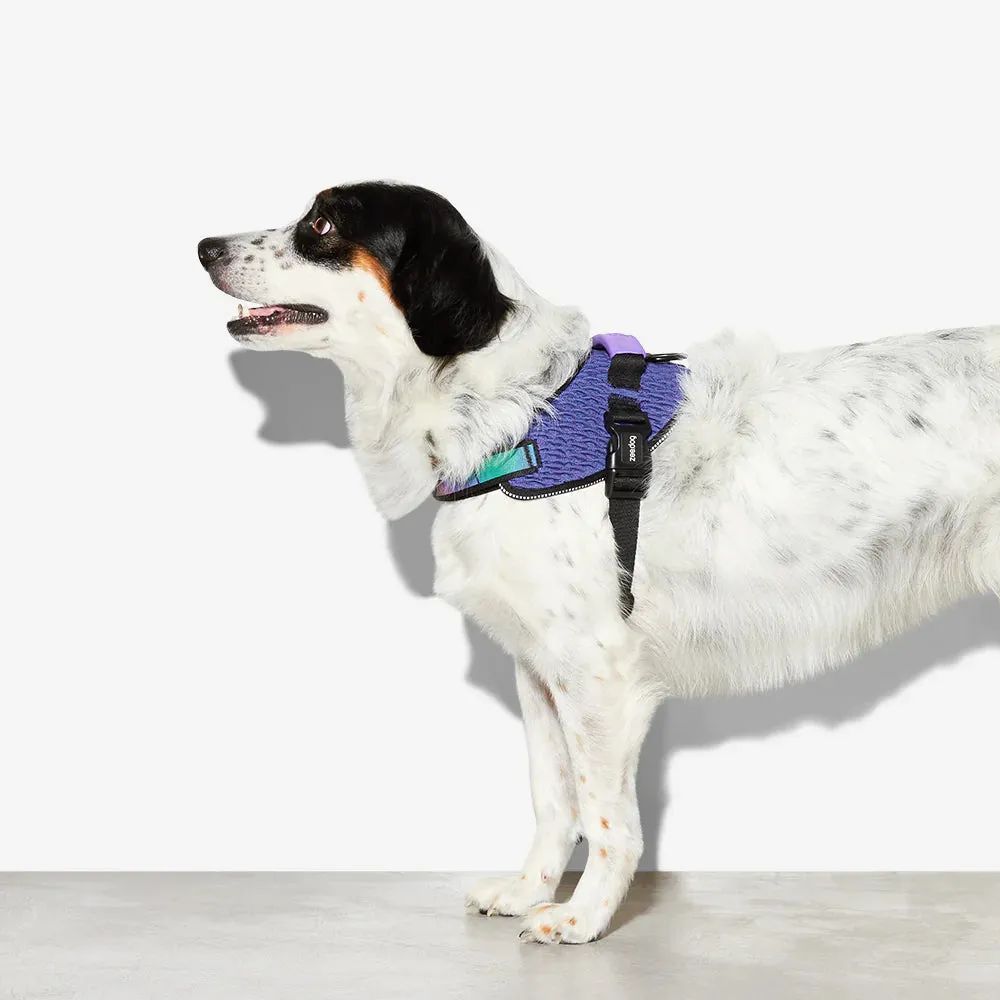 Wicked FlyHarness